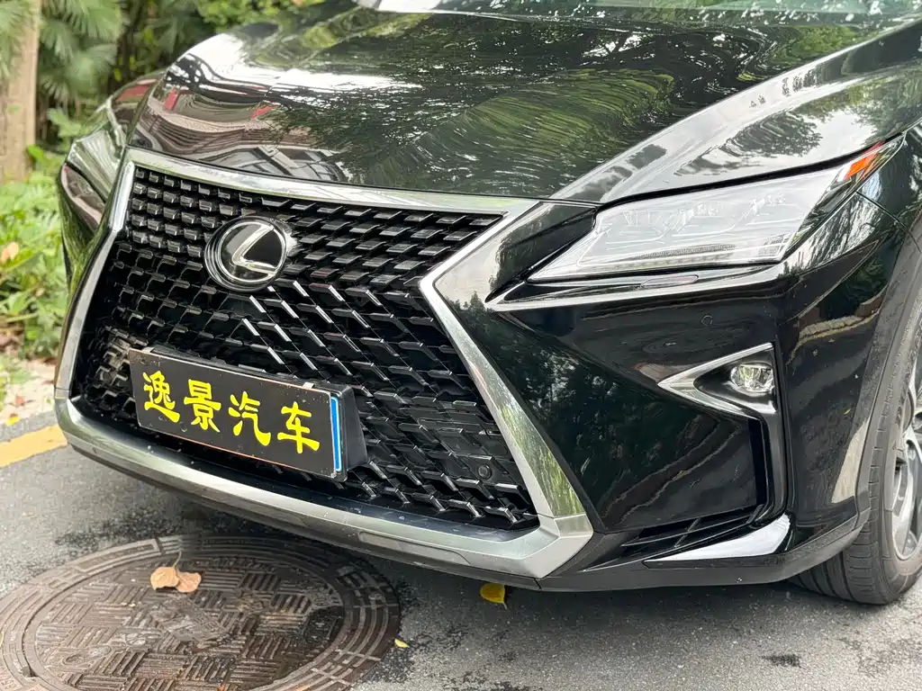Lexus RX 2019 — фото 19
