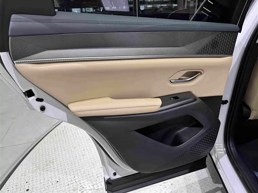 BYD Song Pro New Energy 2025 — фото 19