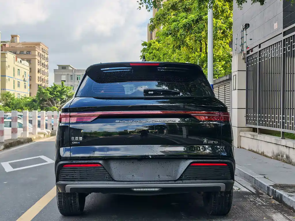 BYD Pro New Energy 2024