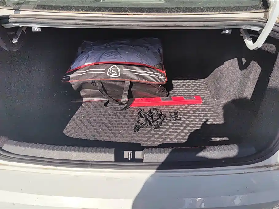 Volkswagen Sagitar 2019