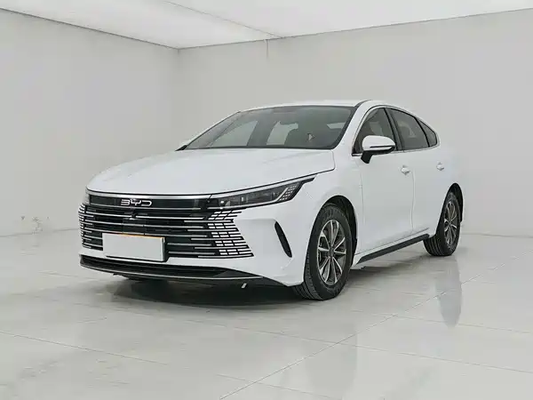 BYD Destroyer 05 2024