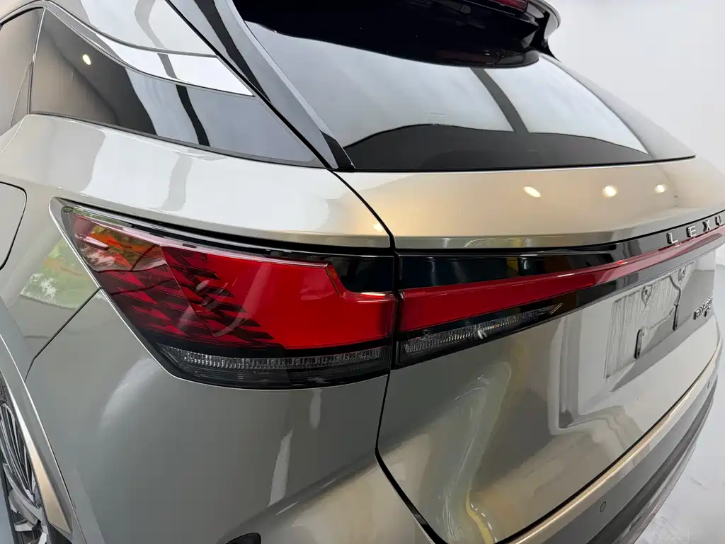 Lexus RX New Energy 2023 — фото 13