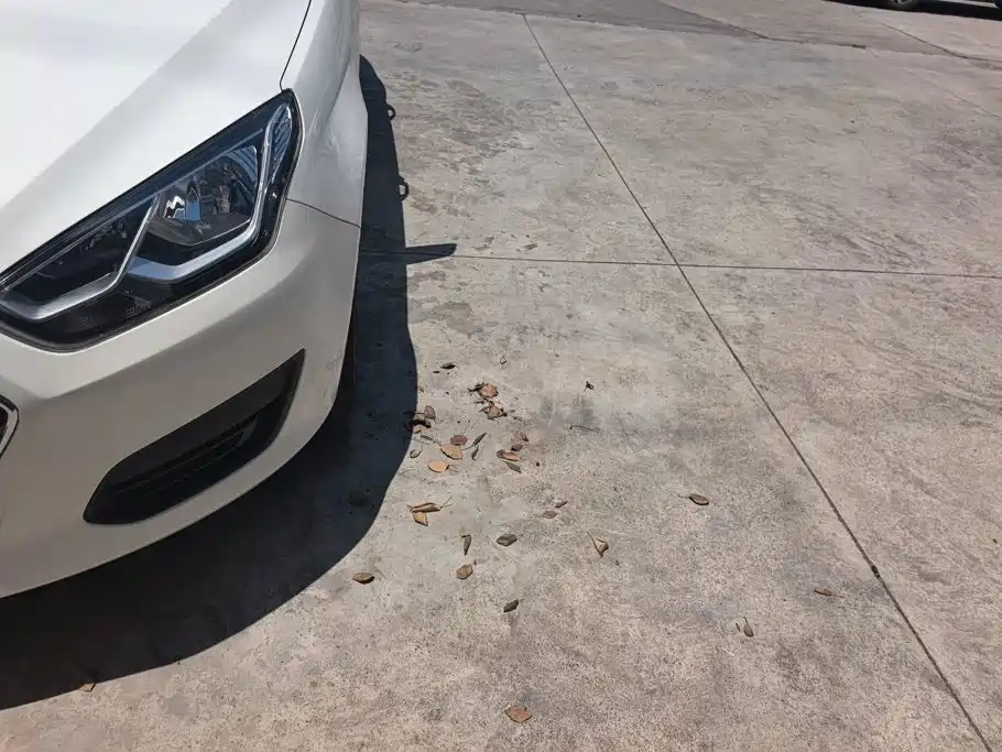 Ford Escort 2018