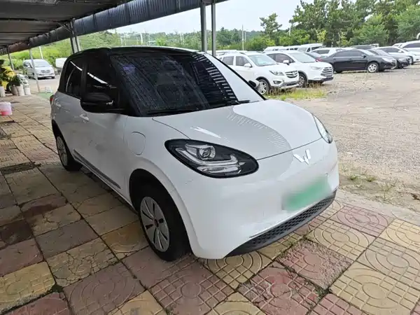 Wuling Bingo 2024