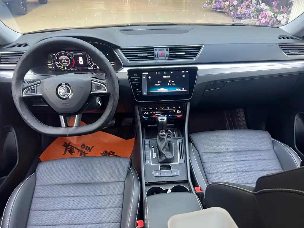 Skoda Speedy 2024 — фото 16