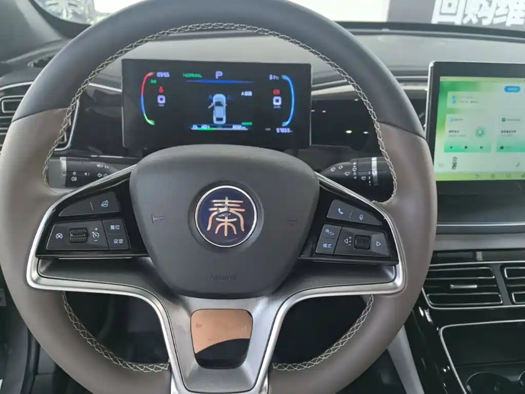 BYD Qin PLUS 2024 — фото 11