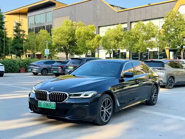 BMW 5 Series New Energy 2022