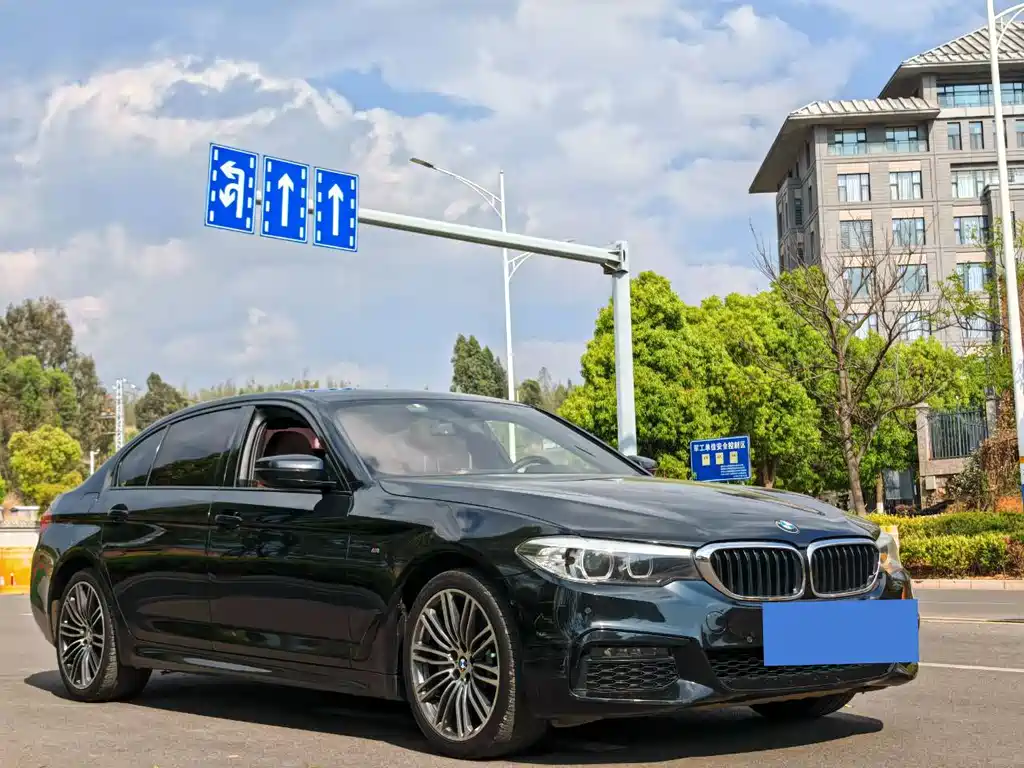 BMW 5 Series 2019