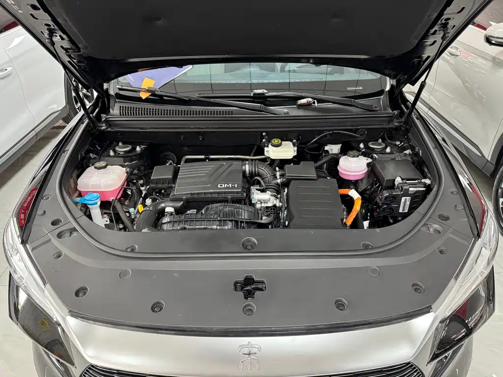BYD Pro New Energy 2024 — фото 12