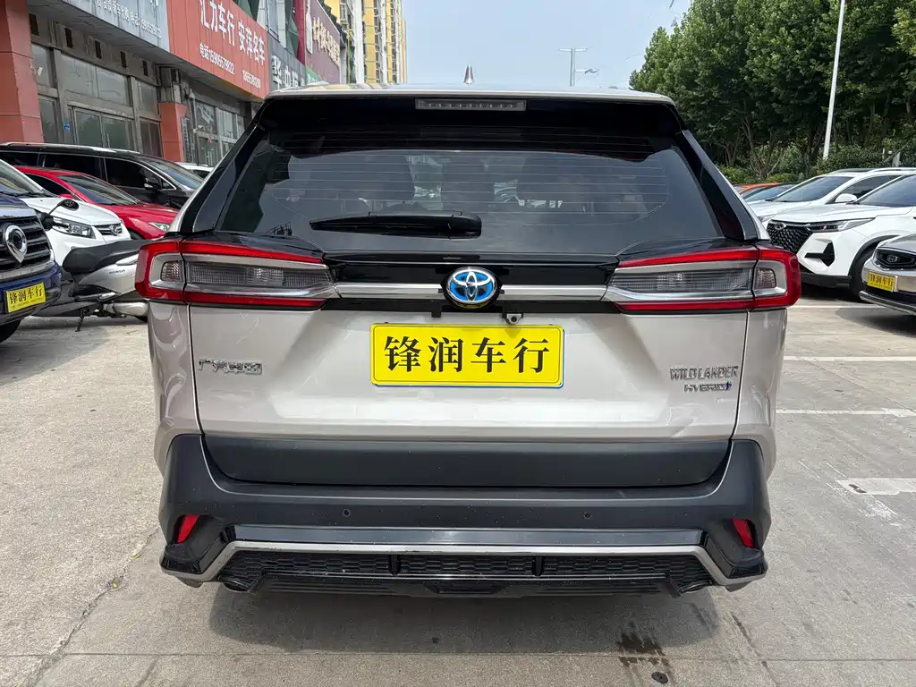 Toyota Wildlander 2022