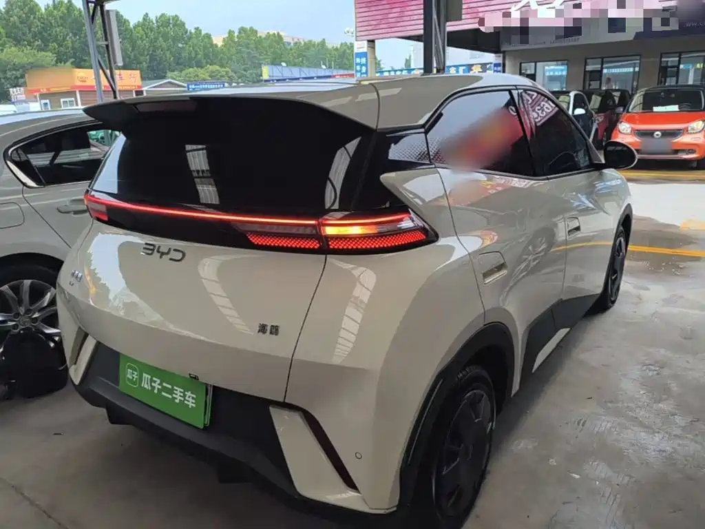 BYD Seagull 2024