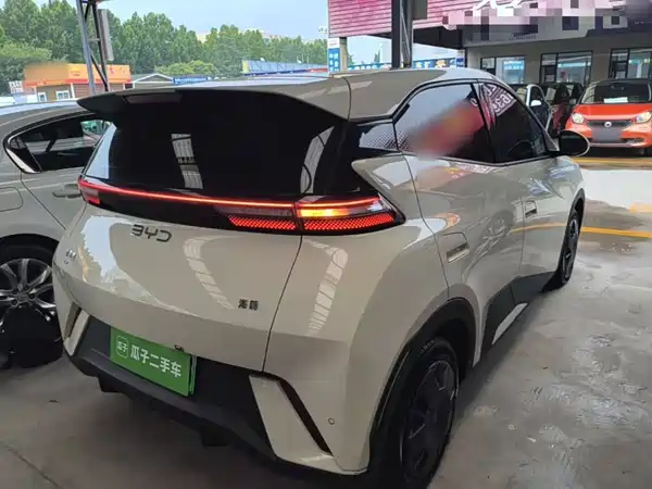 BYD Seagull 2024