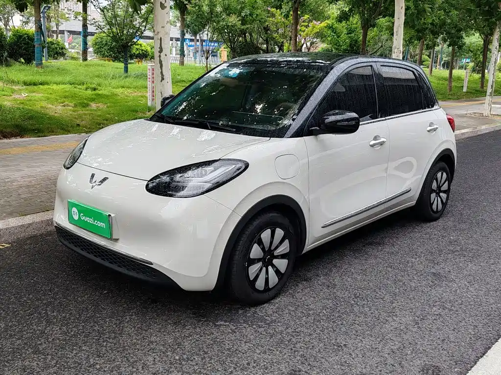 Wuling Bingo 2024