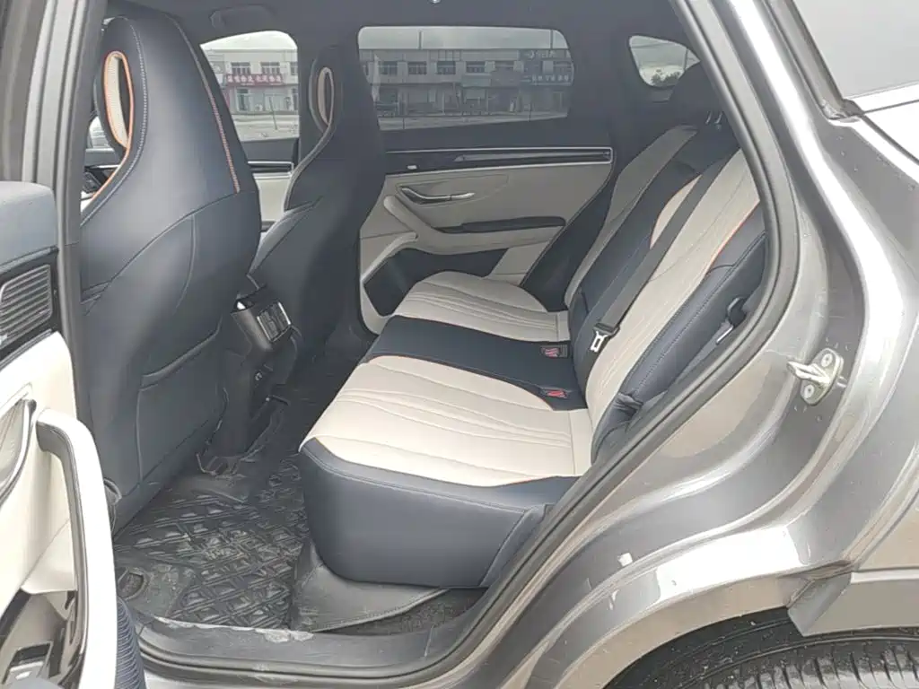 BYD PLUS New Energy 2022 — фото 17