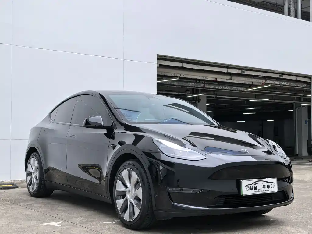 Tesla Model Y 2021 — фото 3