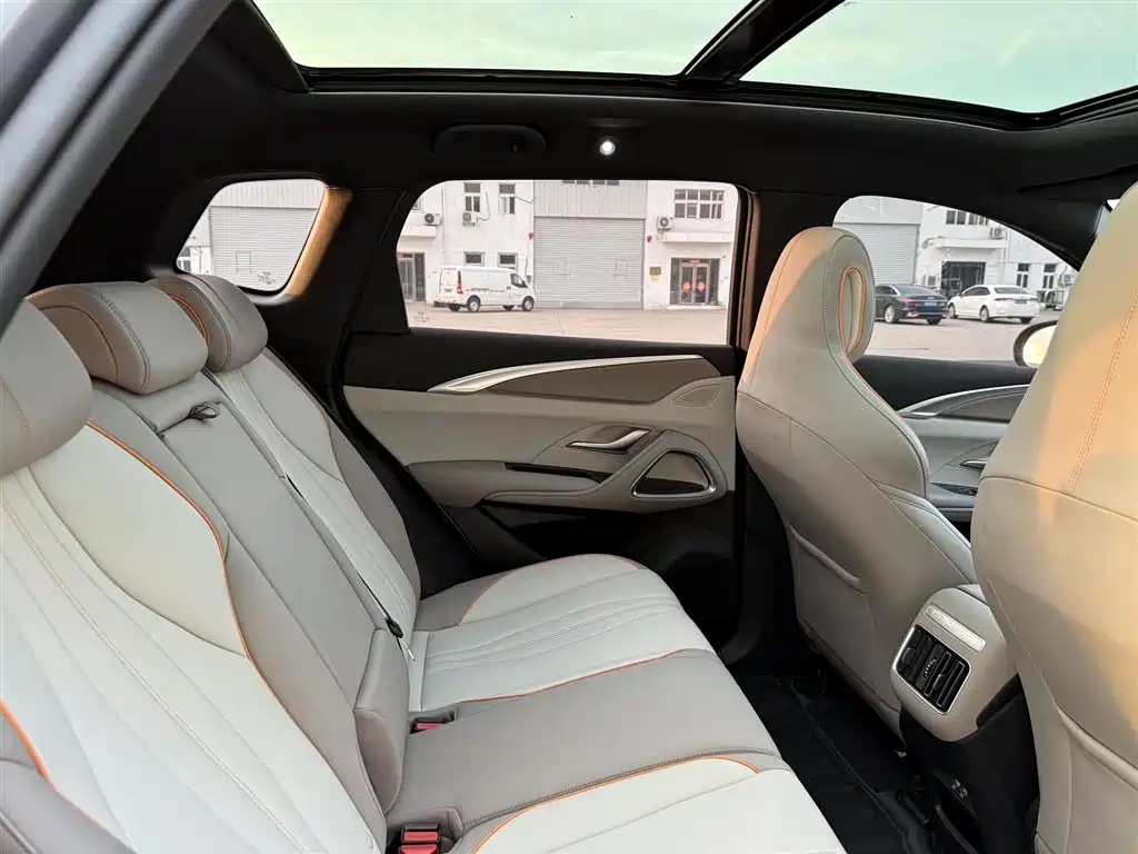 BYD Pro New Energy 2024 — фото 17