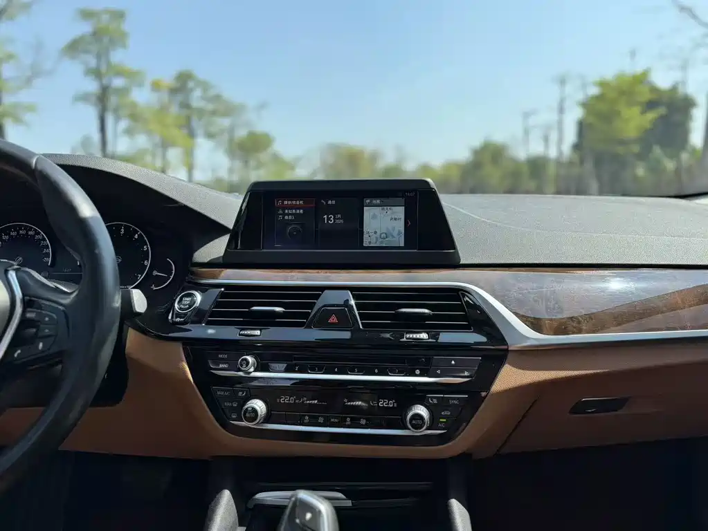 BMW 5 Series 2017 — фото 13