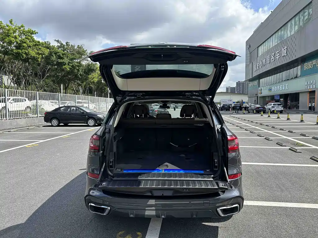 BMW X5 New Energy 2021