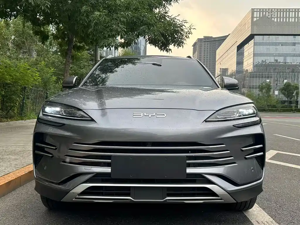 BYD PLUS New Energy 2025 — фото 3