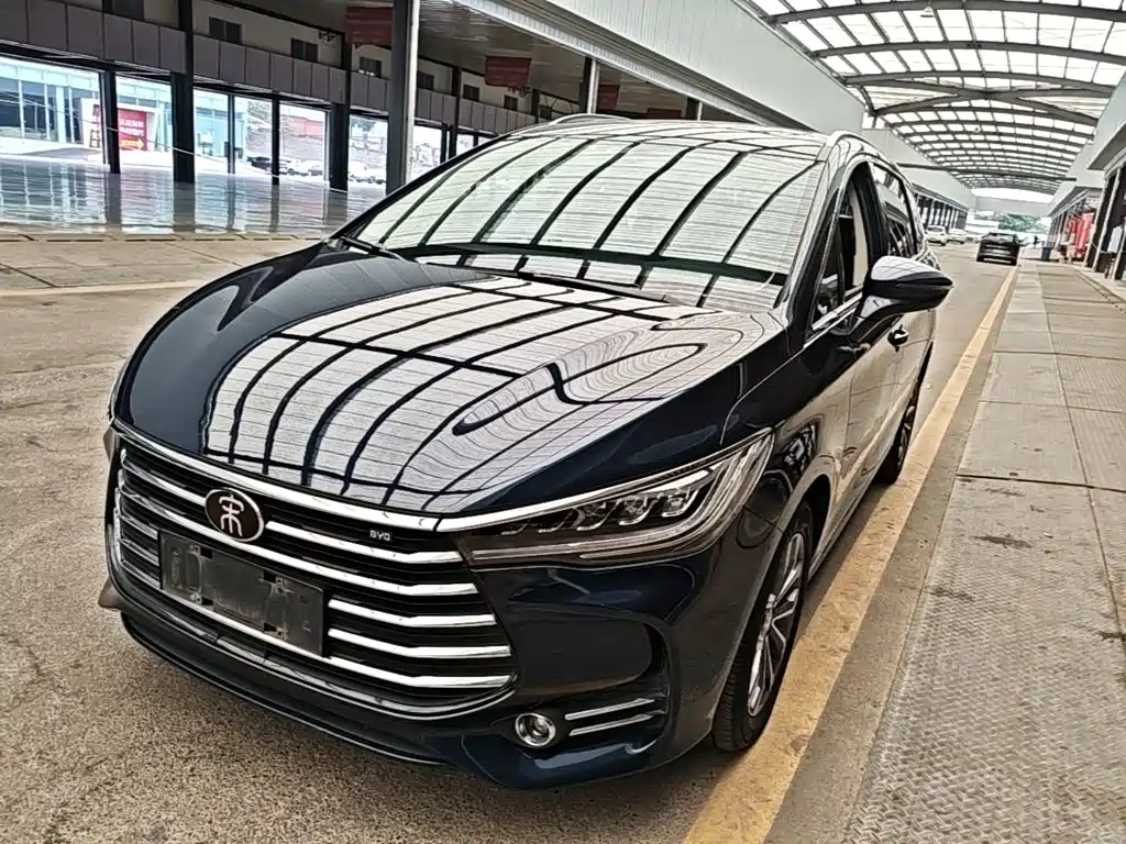 BYD MAX 2020