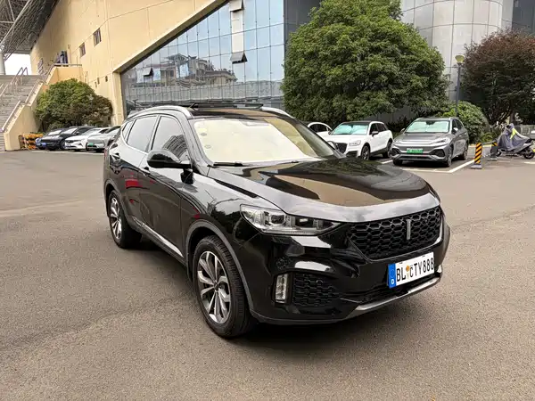 Wey VV6 2018