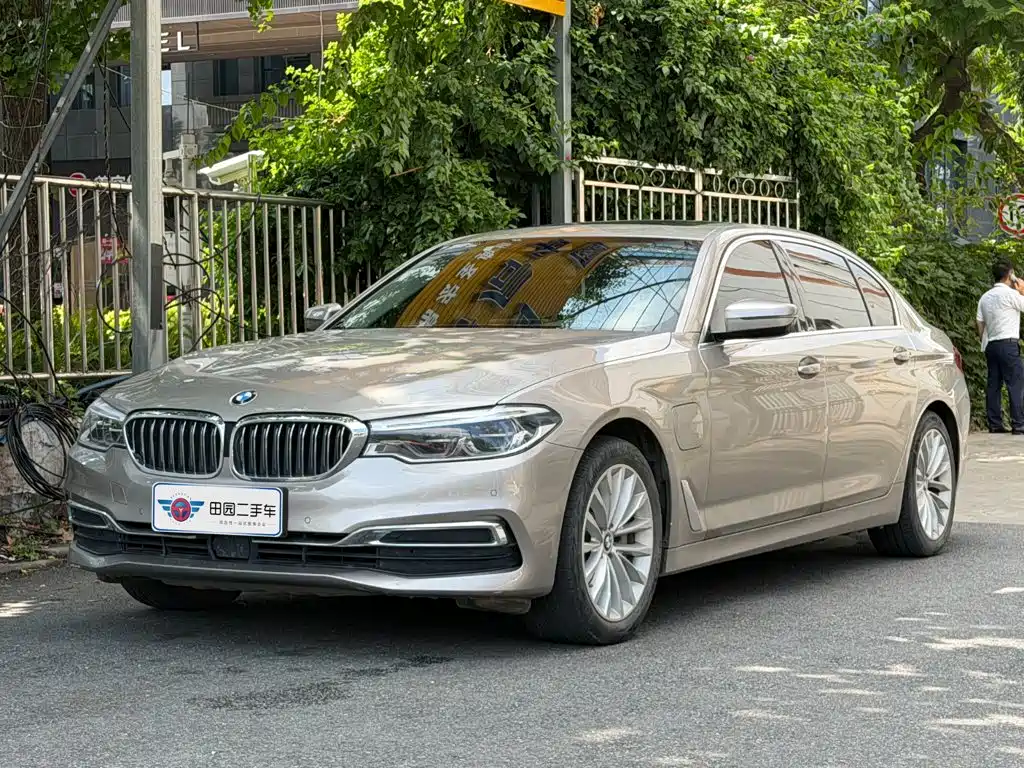 BMW 5 Series New Energy 2020