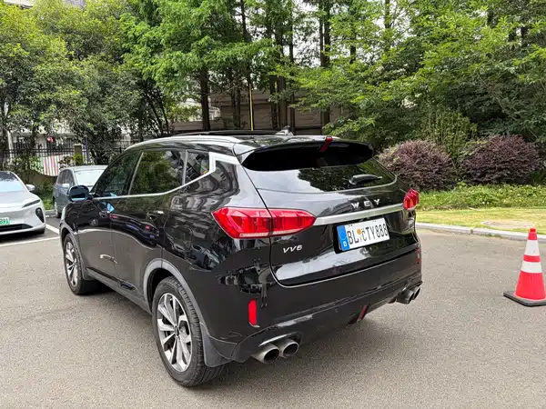 Wey VV6 2018