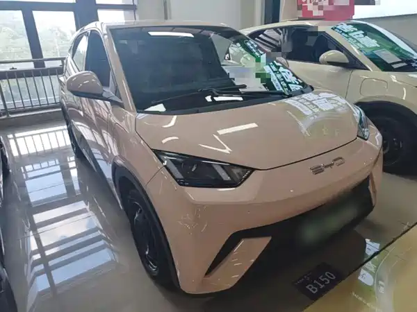 BYD Seagull 2024