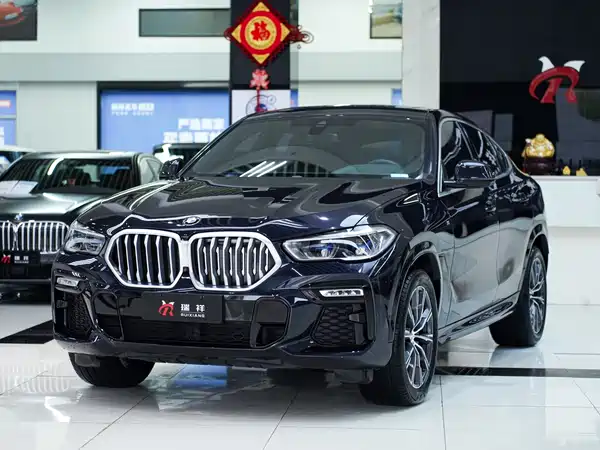 BMW X6 2020