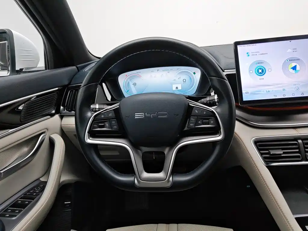 BYD Song PLUS New Energy 2024 — фото 11