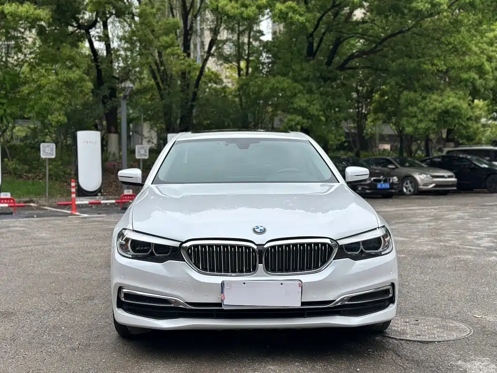 BMW 5 Series 2019