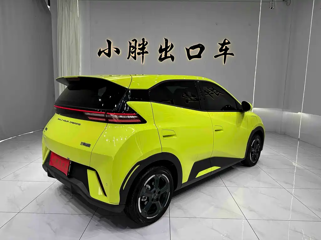 BYD Seagull 2024