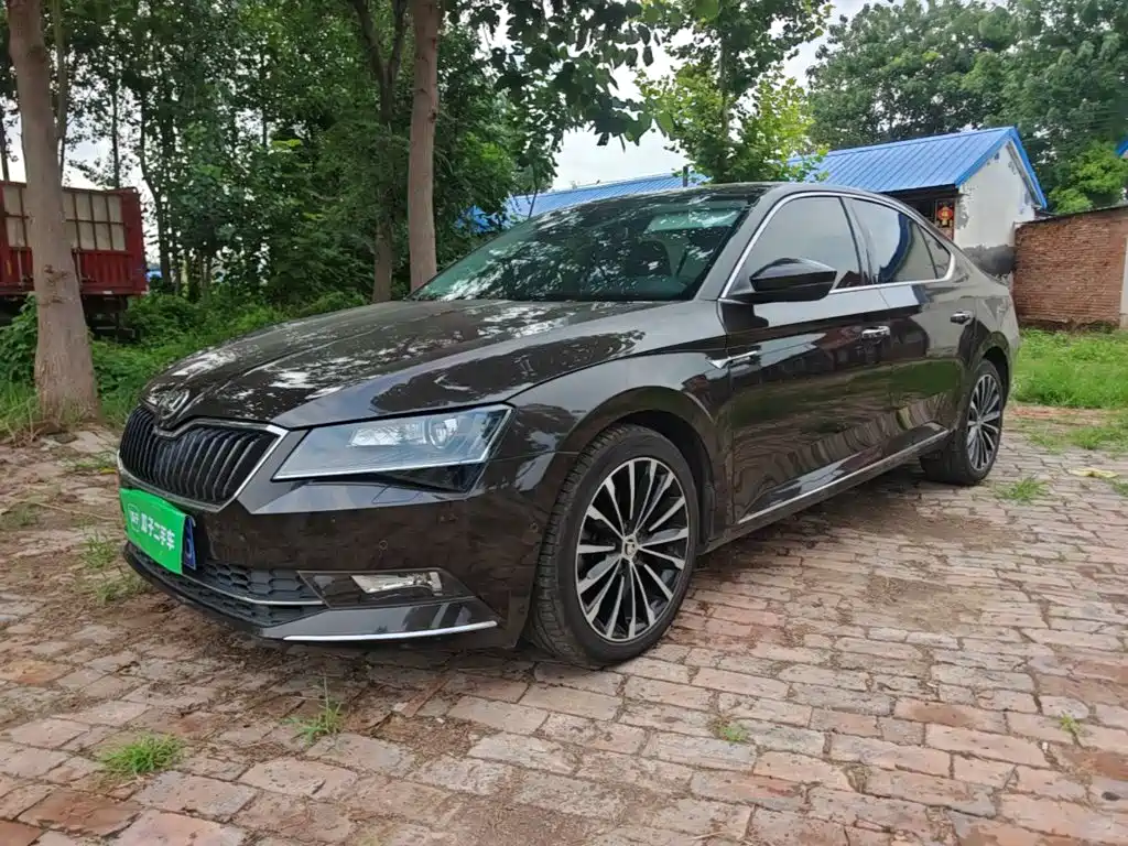 Skoda Speedy 2017