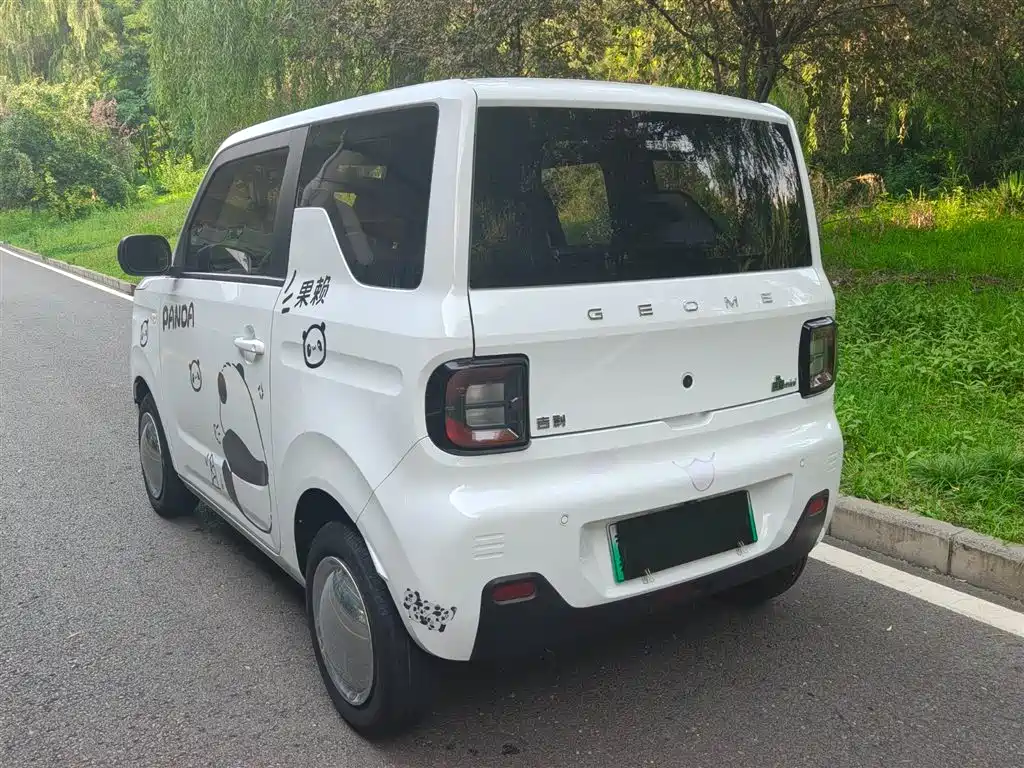 Galaxy Panda 2024