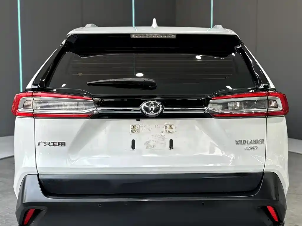 Toyota Wildlander 2020 — фото 7