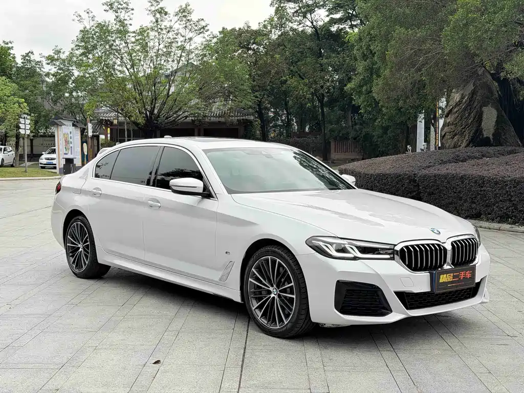 BMW 5 Series 2022