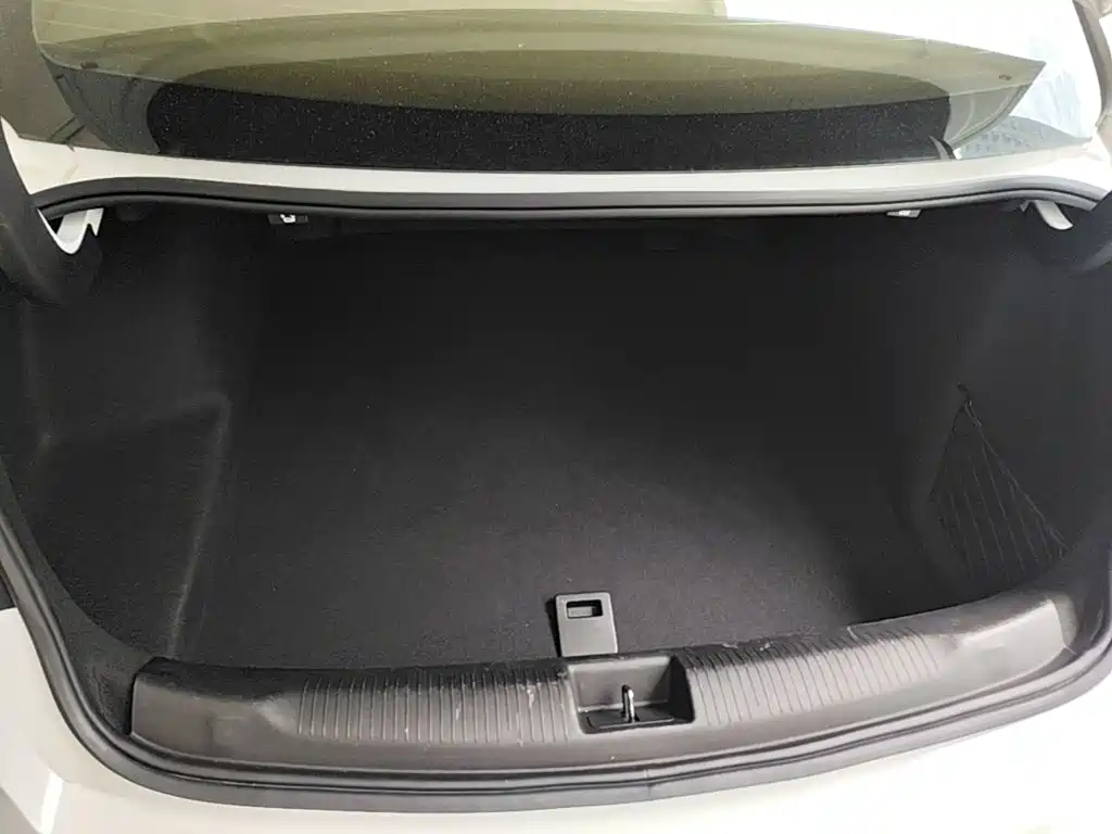 Buick Regal 2020 — фото 15