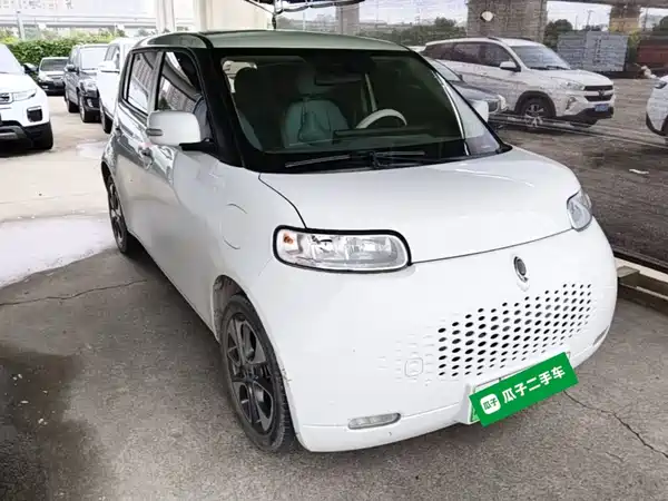 Ora White Cat 2021
