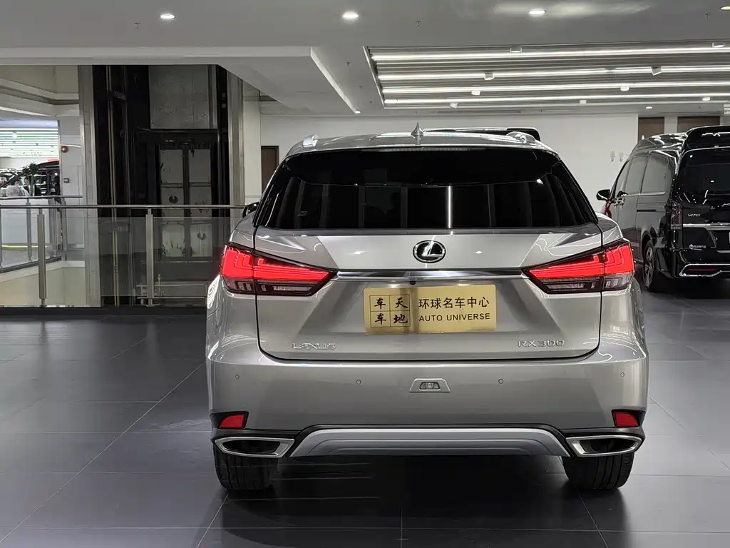 Lexus RX 2021 — фото 18