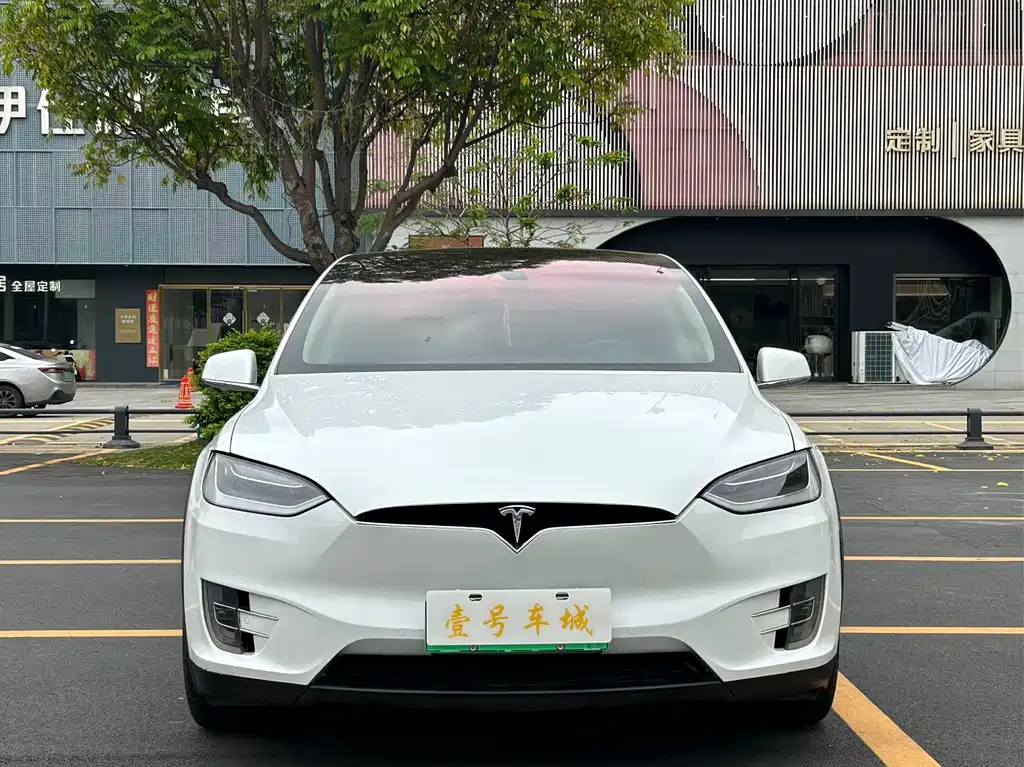 Tesla Model X 2017 — фото 1