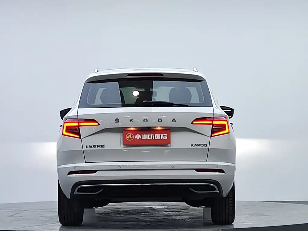 Skoda Karoq 2023 — фото 19