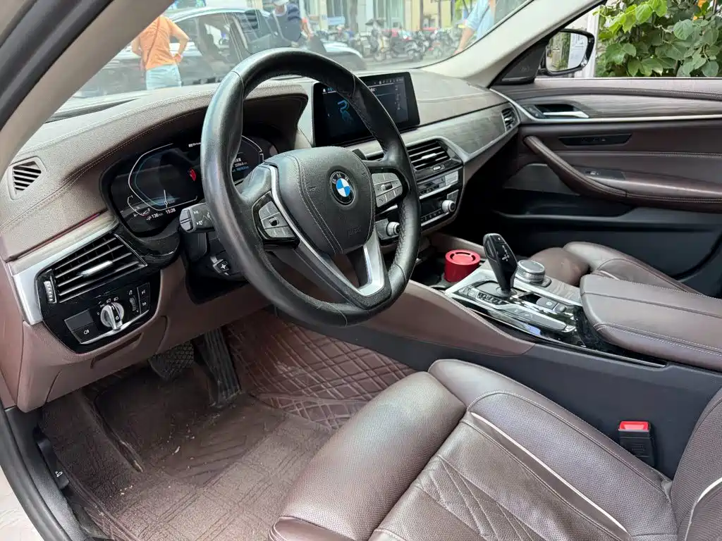 BMW 5 Series New Energy 2020