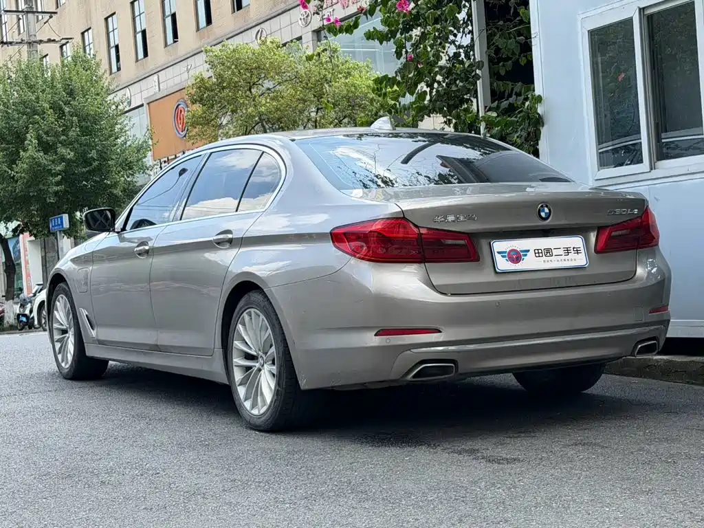 BMW 5 Series New Energy 2020