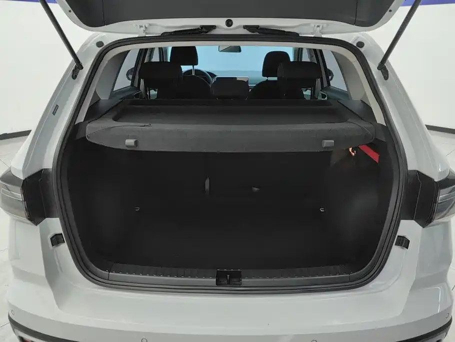 Volkswagen Tuyue 2024