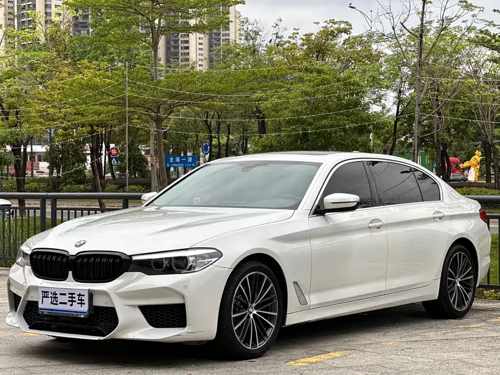 BMW 5 Series 2020 — фото 1