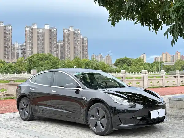 Tesla Model 3 2019