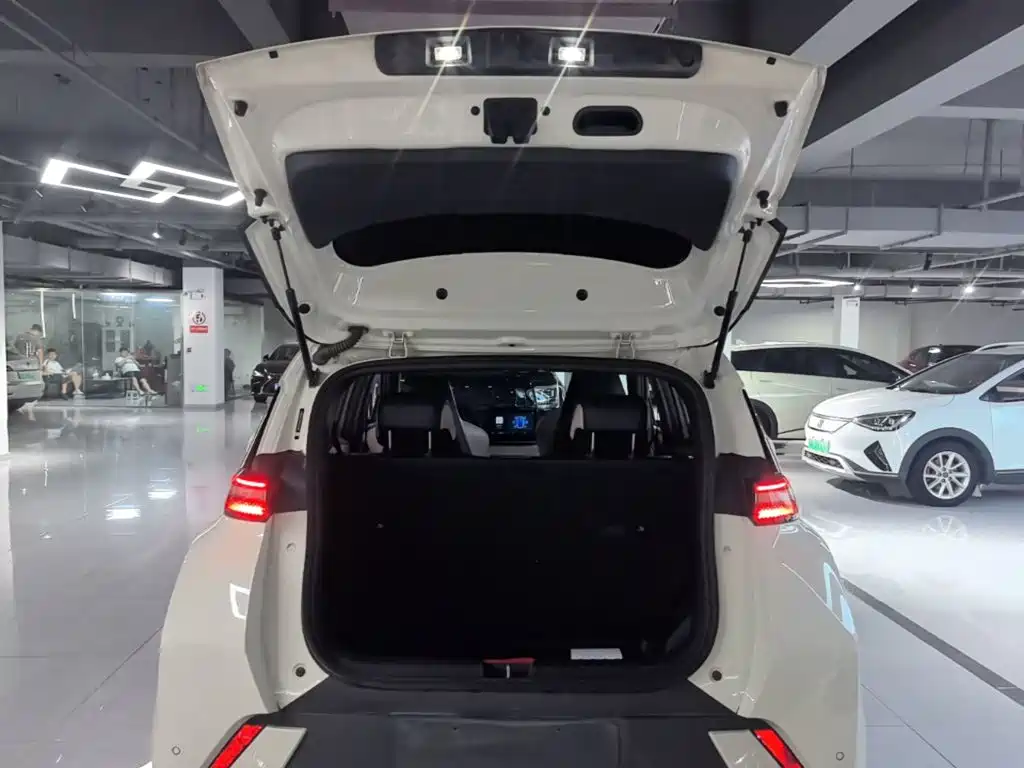 BYD Seagull 2023 — фото 19