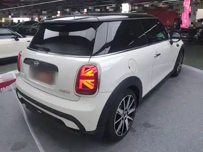 MINI MINI 2024