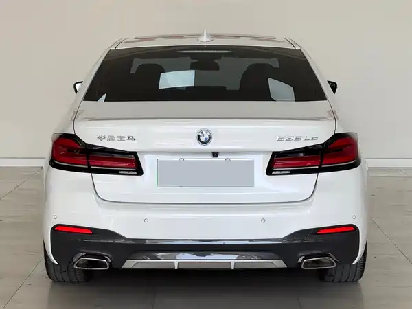 BMW 5 Series New Energy 2022