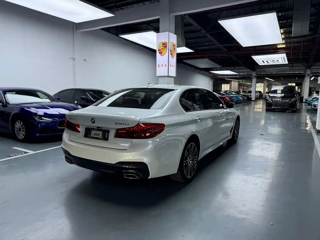 BMW 5 Series 2018 — фото 10